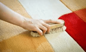 superficial sueño Salida 5 empresas de limpieza de alfombras a domicilio de Barcelona